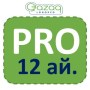 12pro