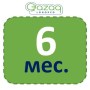 6m